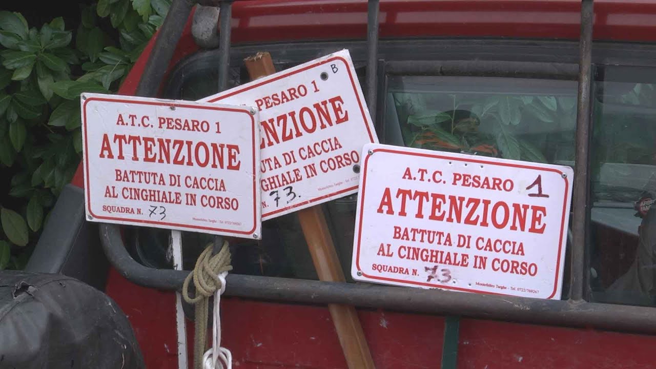 4^ Puntata Artemide -  Caccia al Cinghiale