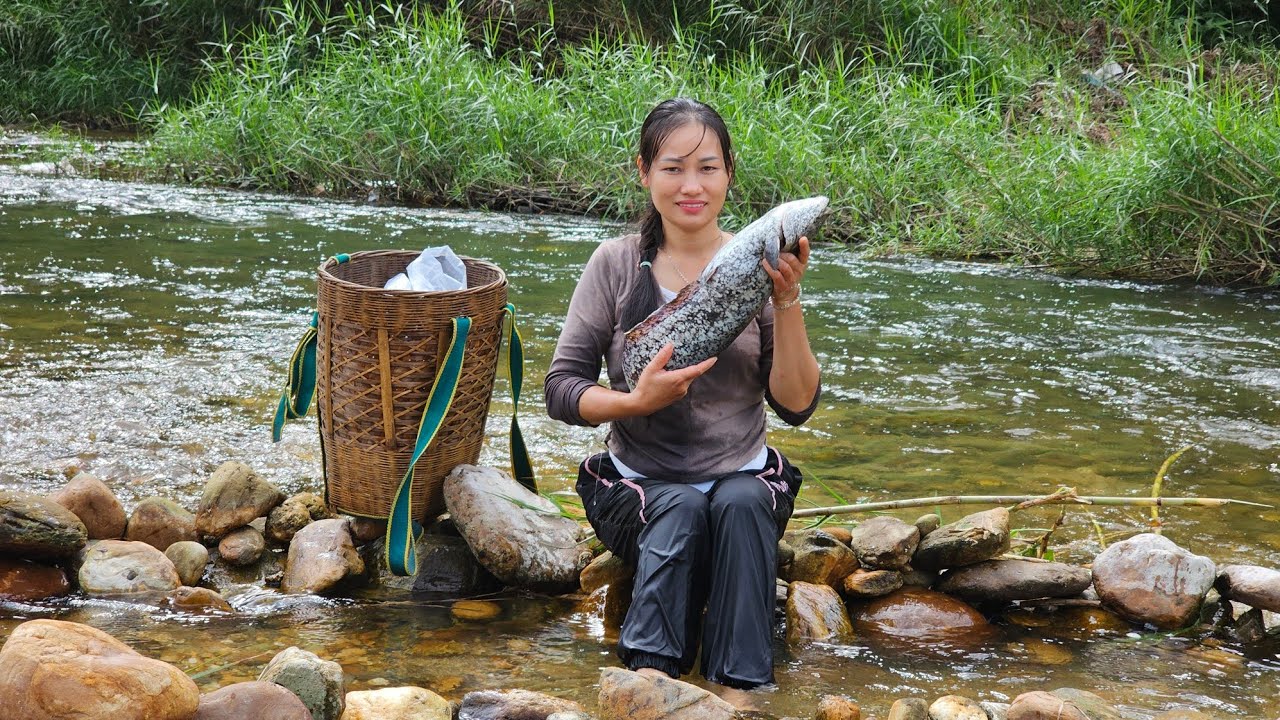 Building a Rock Spiral Fish Trap & Cooking a Fresh Catch for My Little Girl | Ly Phuc An