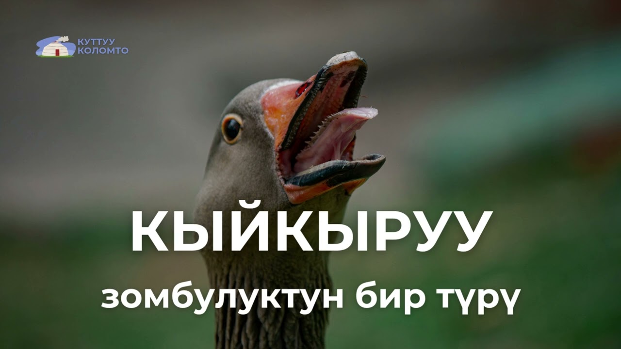 Кыйкыруу - зомбулуктун бир түрү