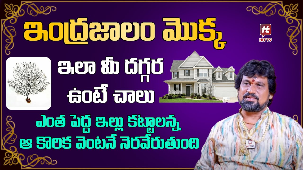 ఈ మొక్క మీ దగ్గర ఉంటే ఇల్లు కట్టాలన్న కొరిక నెరవేరుతుంది || SNT Kerala Remedies || HiTTV Devotional
