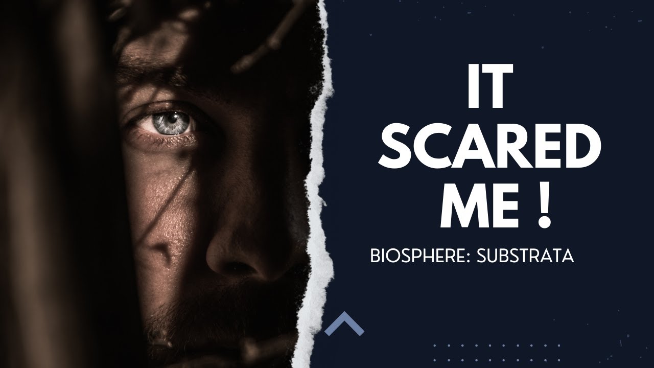 Biosphere: Substrata Review (Ambient)