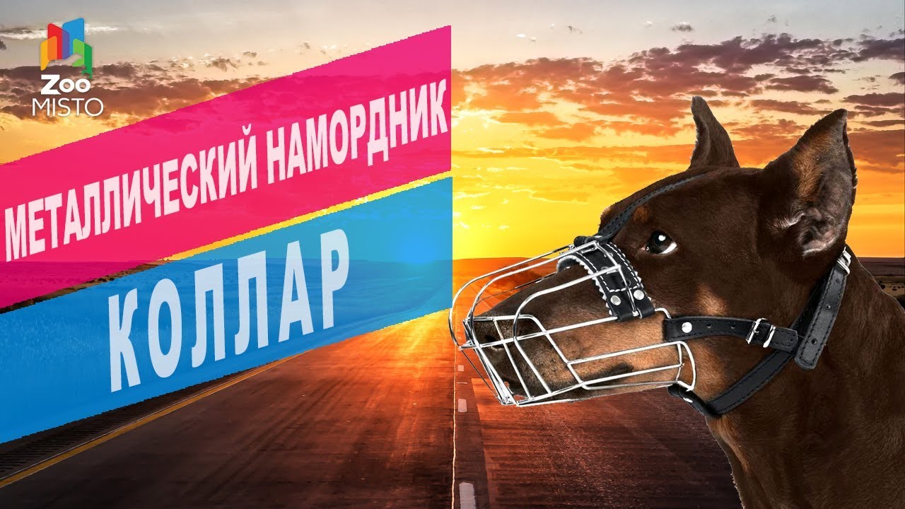 Металлический намордник для собак Коллар | Обзор металлического намордника для собак Collar