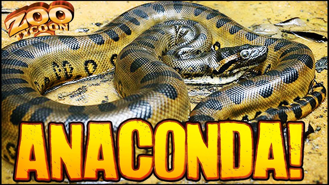 Zoo Tycoon 2 | ANACONDAS IN THE ZOO (The Aquarium Part 10)