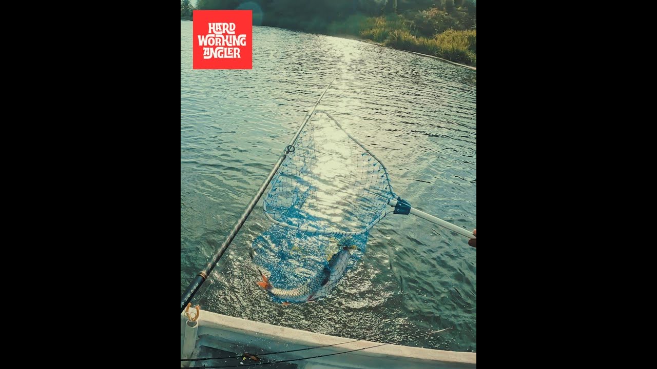Lenggong UNESCO Site Heritage Peacock Bass & Toman Snakehead Malaysia Fishing Trip (February 2026)