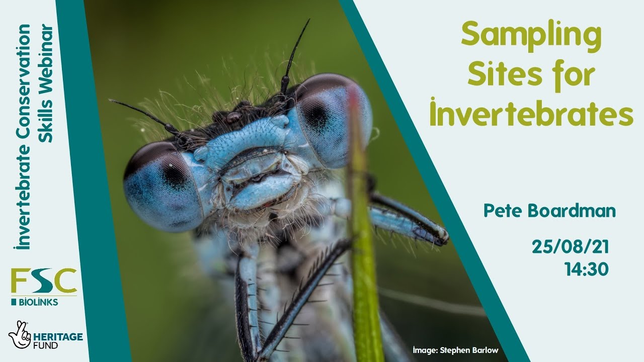 Sampling Sites for Invertebrates