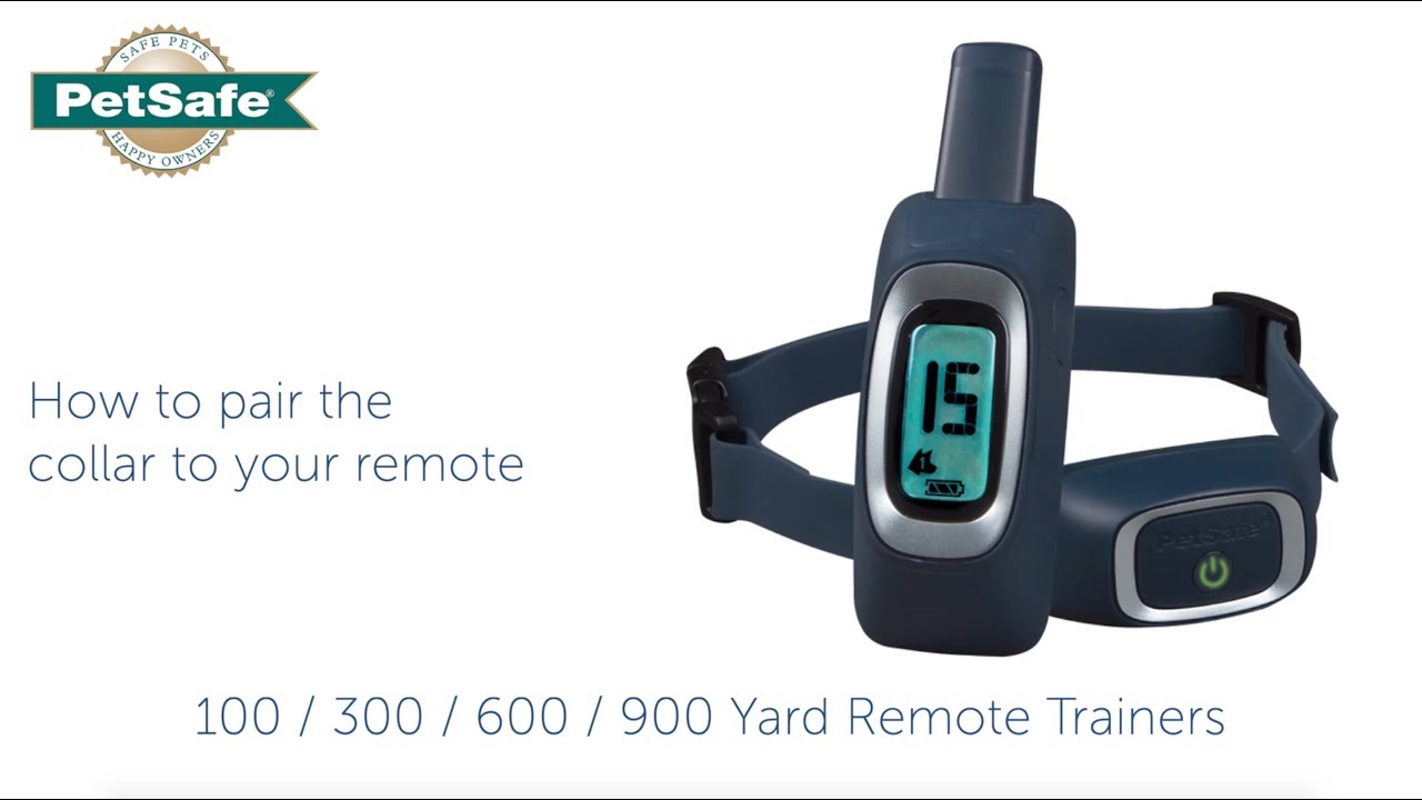 How to Pair a Remote Trainer Collar and Remote