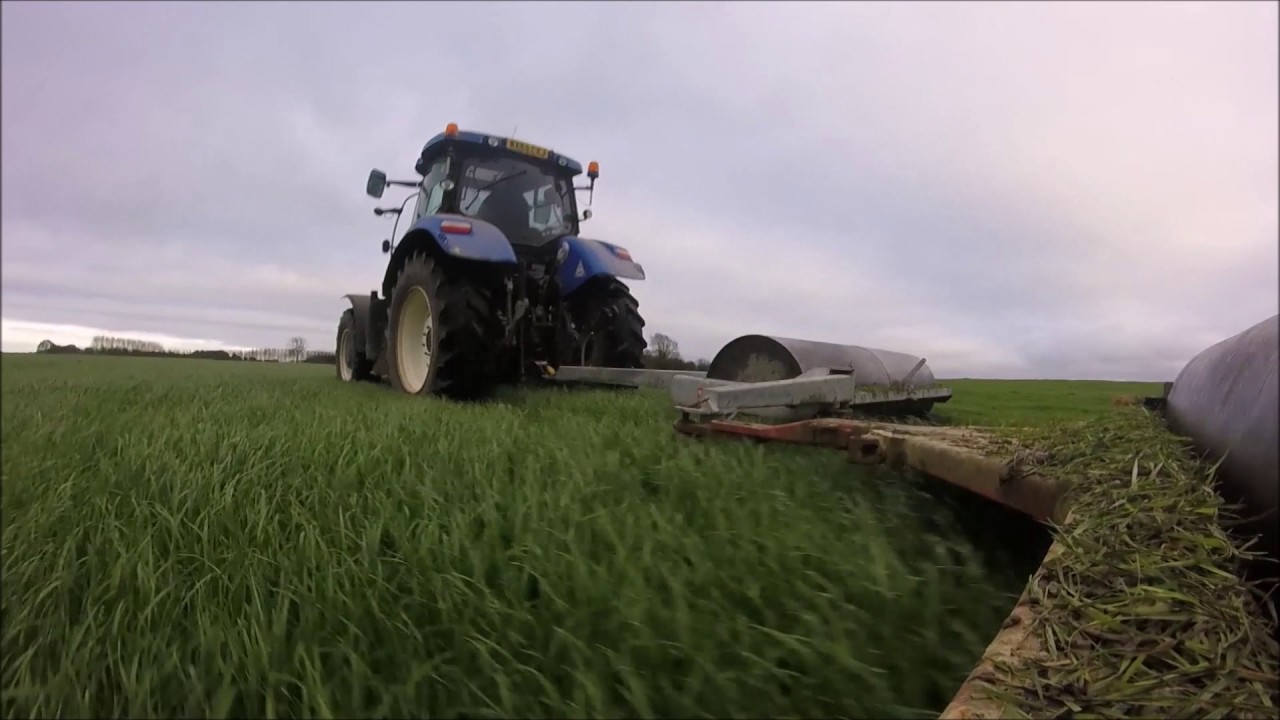 Flat Rolling Grass - Nathan Saunders - 2017
