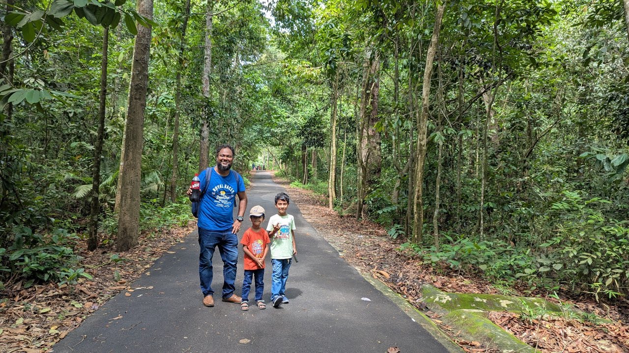 বিস্ময়কর পার্ক । Safari Park, Cox's Bazar । ডুলাহাজারা সাফারি পার্ক, কক্সবাজার
