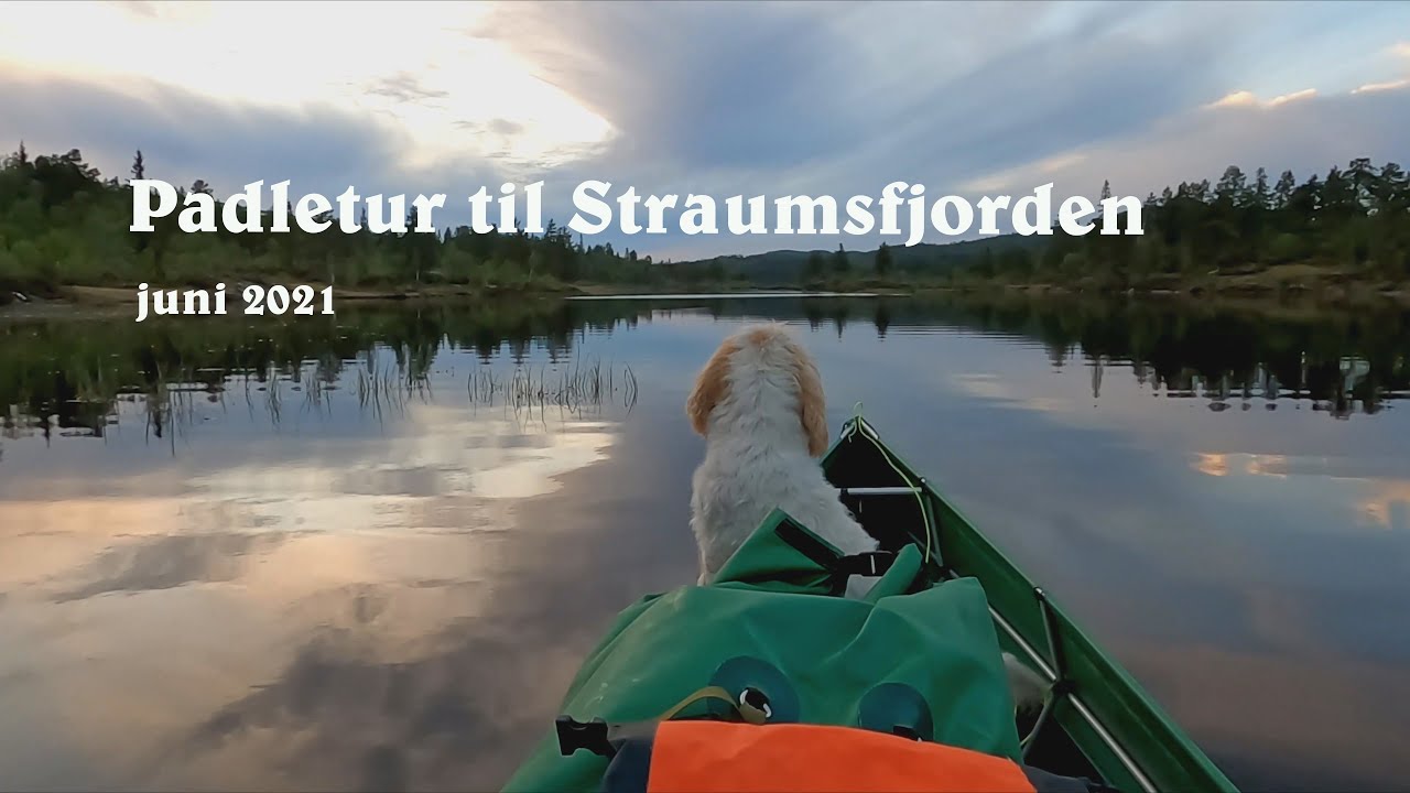 Padletur til Straumsfjorden i kano juni 2021