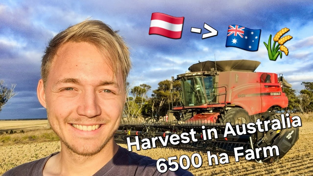 Harvest in Australia 🇦🇺 | Austrian Farmer 🇦🇹 | Case - Fendt - Claas