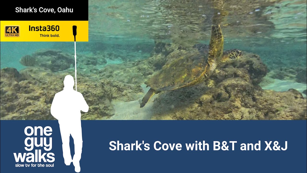 Shark's Cove with B&T and X&J - 4K Slow TV - Oahu |  @oneguywalks ​