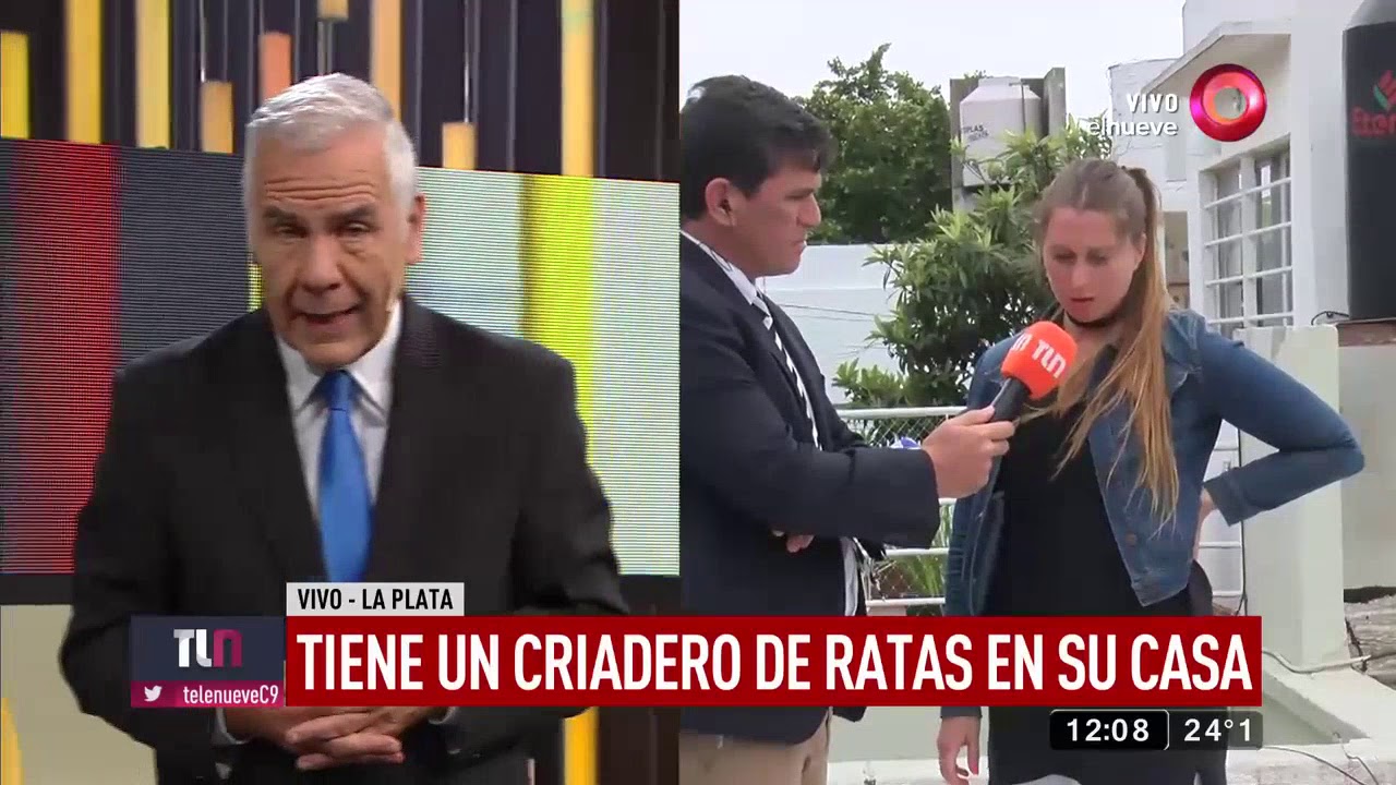 La Plata: Tiene un criadero de ratas en su casa
