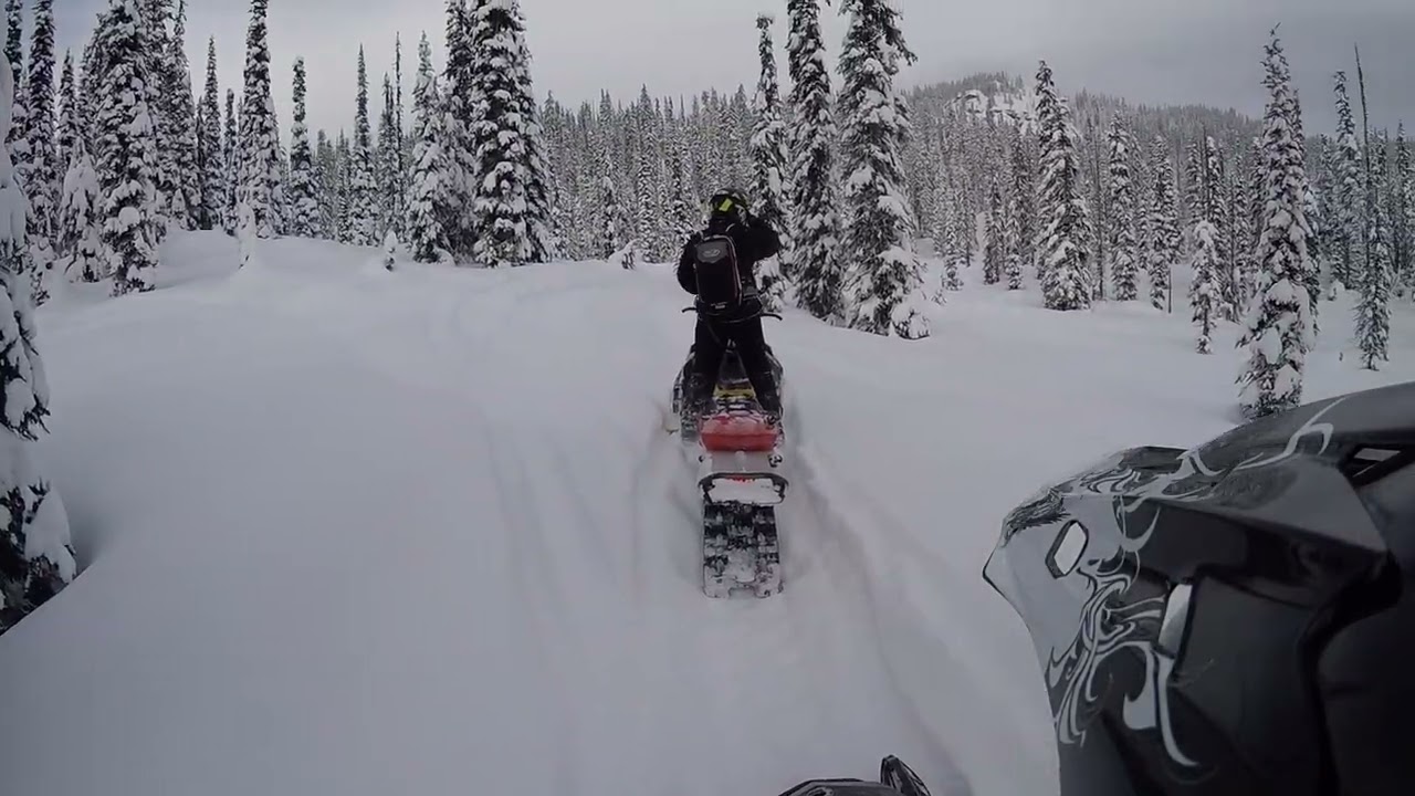 Griffin meadows are real