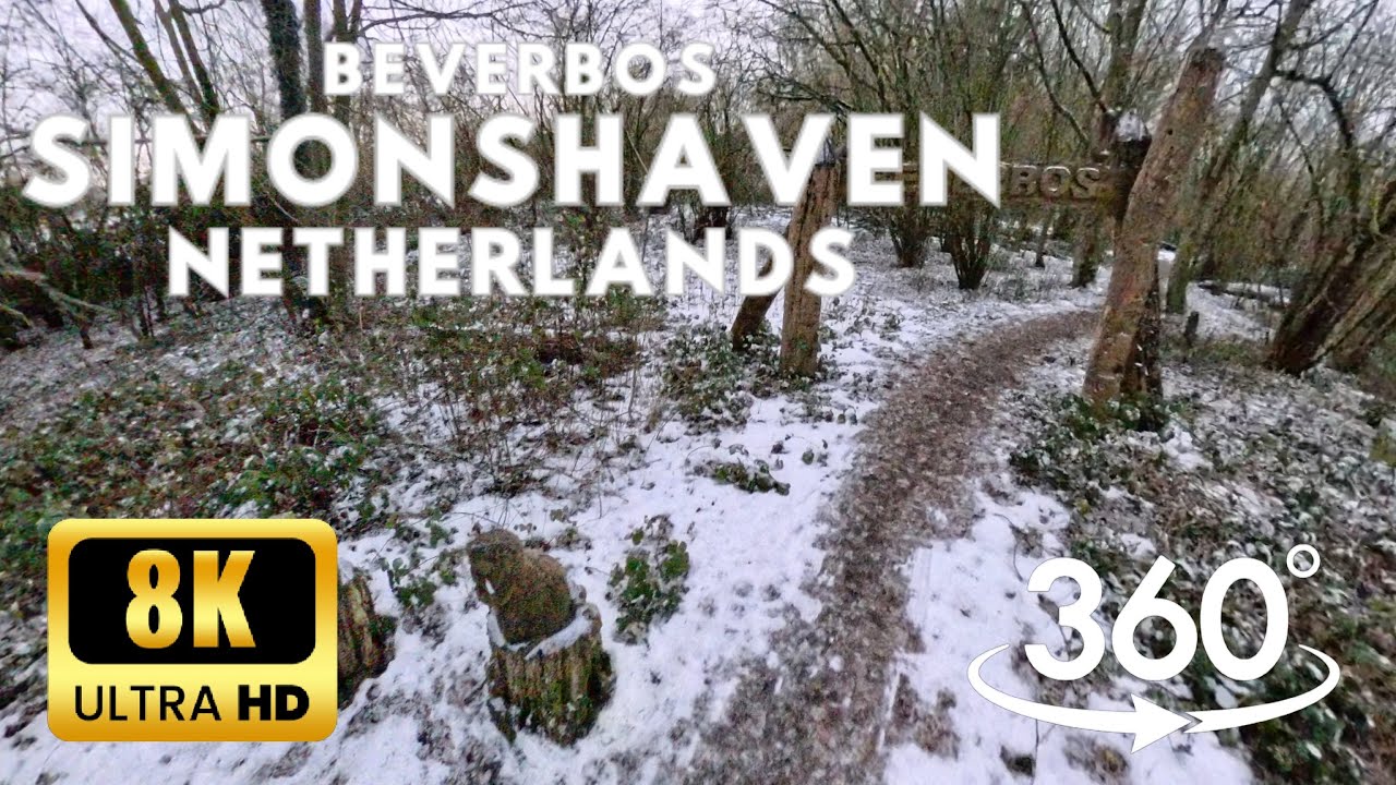 Beverbos, Simonshaven in Netherlands [8K Video 360° VR]
