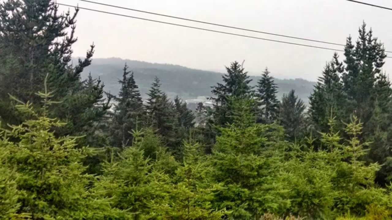 Secret Views of my Town (McKinleyville, CA and surrounding)