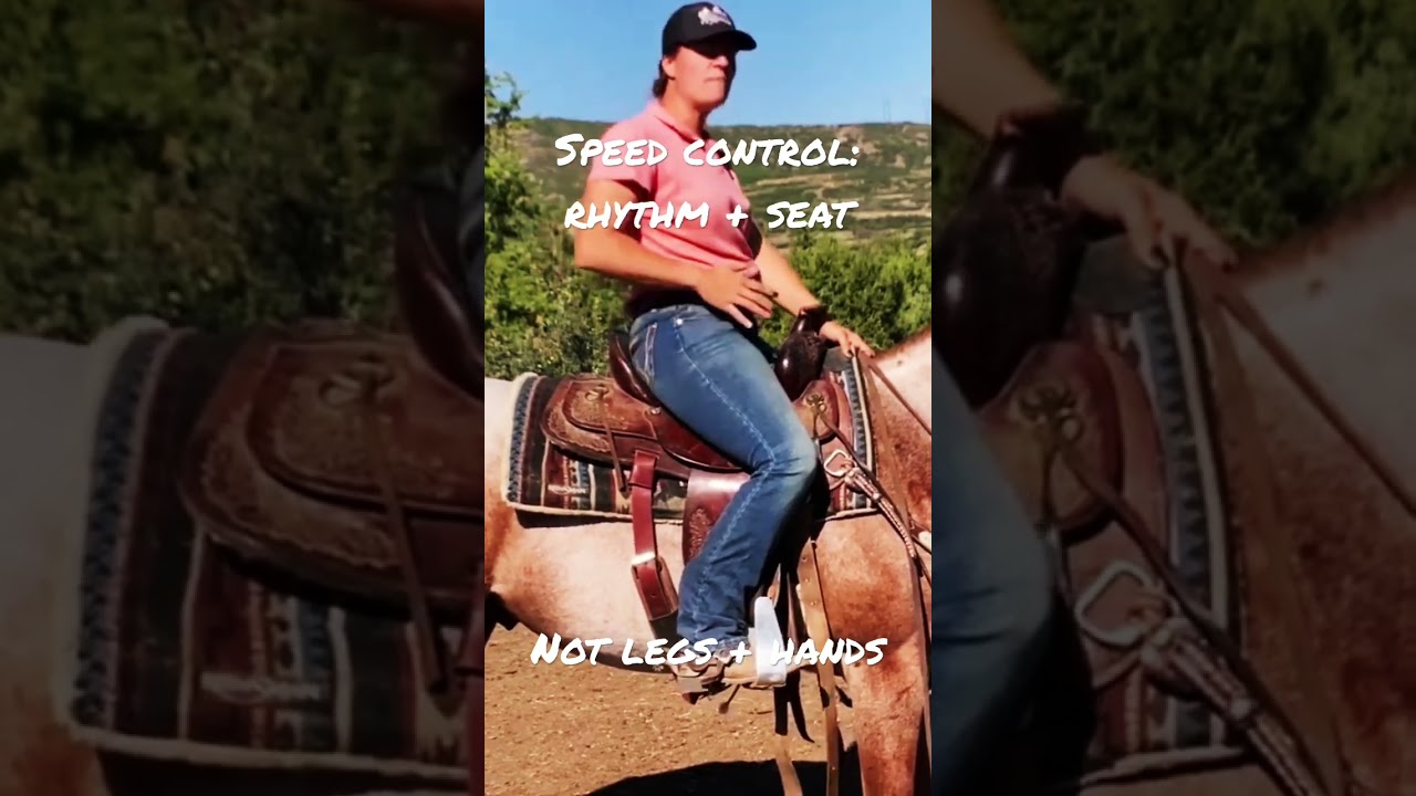 Controlling the speed of your horse
