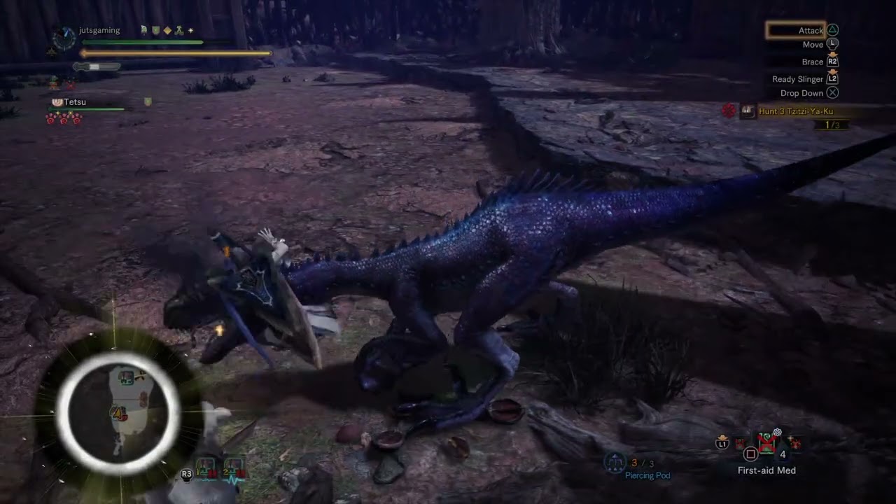 Monster Hunter World: Iceborne Farming | Bird Wayvern Gem
