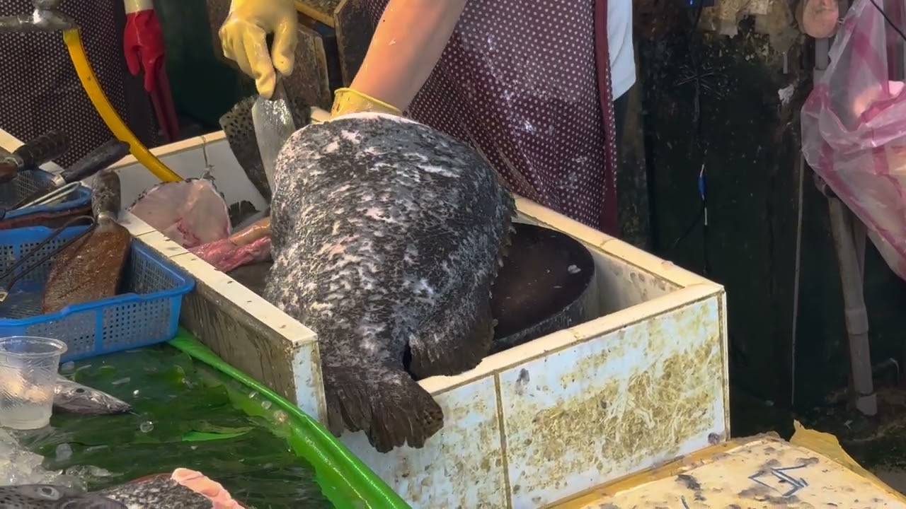 cut fish