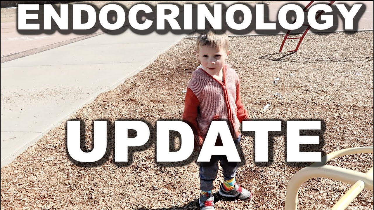ENDOCRINOLOGY UPDATE