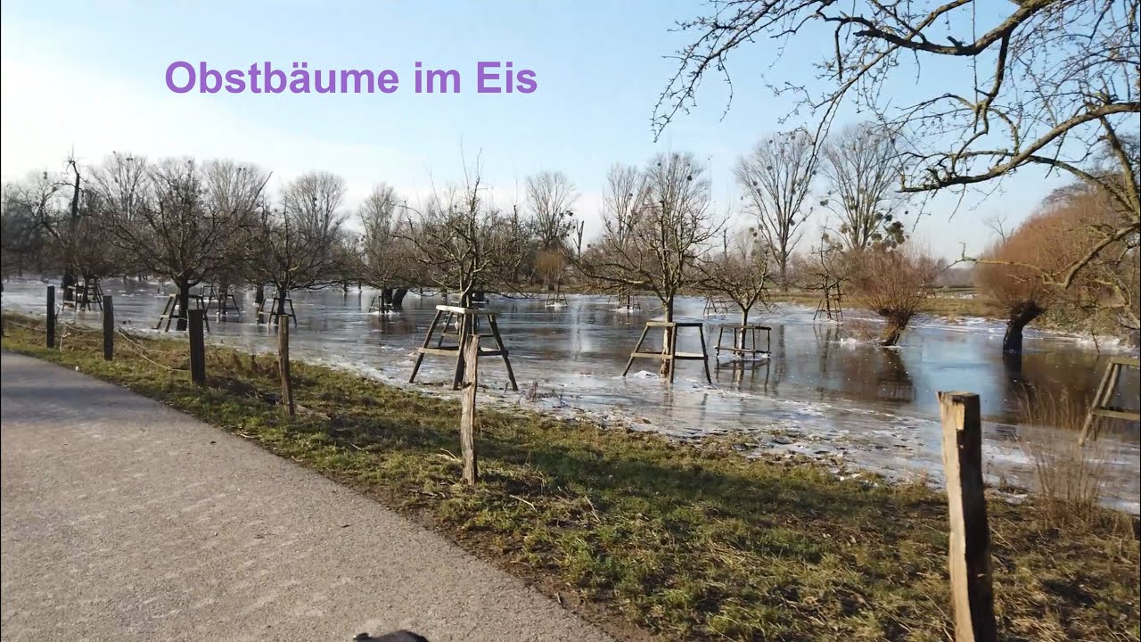 🚲 🇩🇪 RadTour 🇳🇱 🚲  Hochwasser am Rhein - Rundtour Haan - D-Urdenbach - Fähre nach Zons - Leverkusen