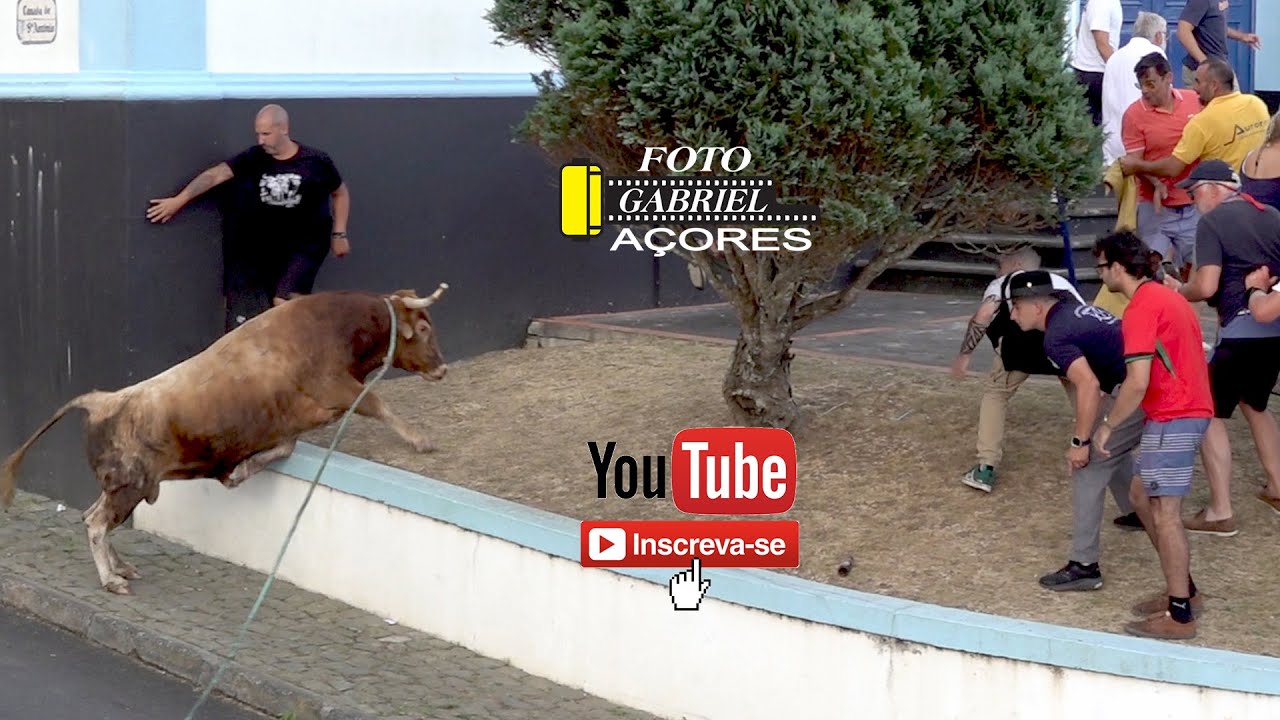 Tourada, Posto Santo 19- 08- 2025 Ganadeiros ALF- JA- ER- RB. Açores