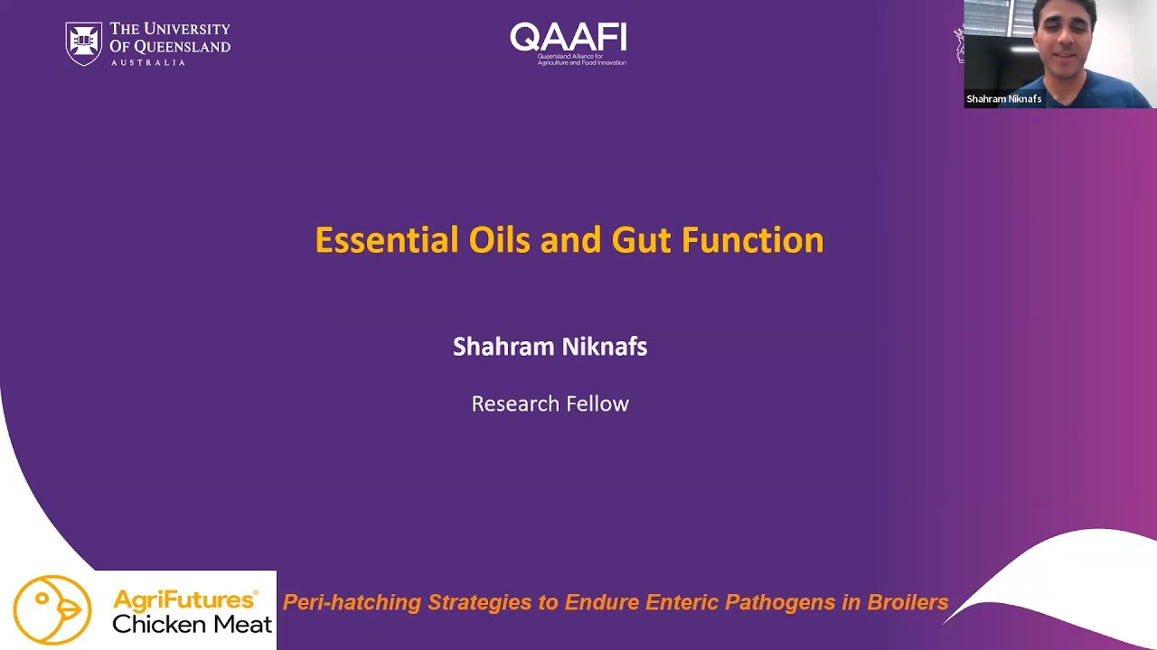 Essential oils and gut function