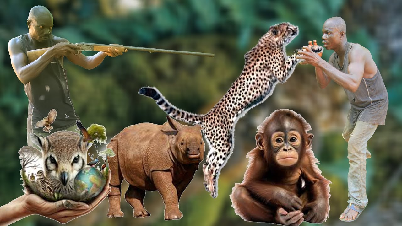SC@RY STORY OF A GHANAIAN HUNTER: A hunter witness a live funeral of a tree