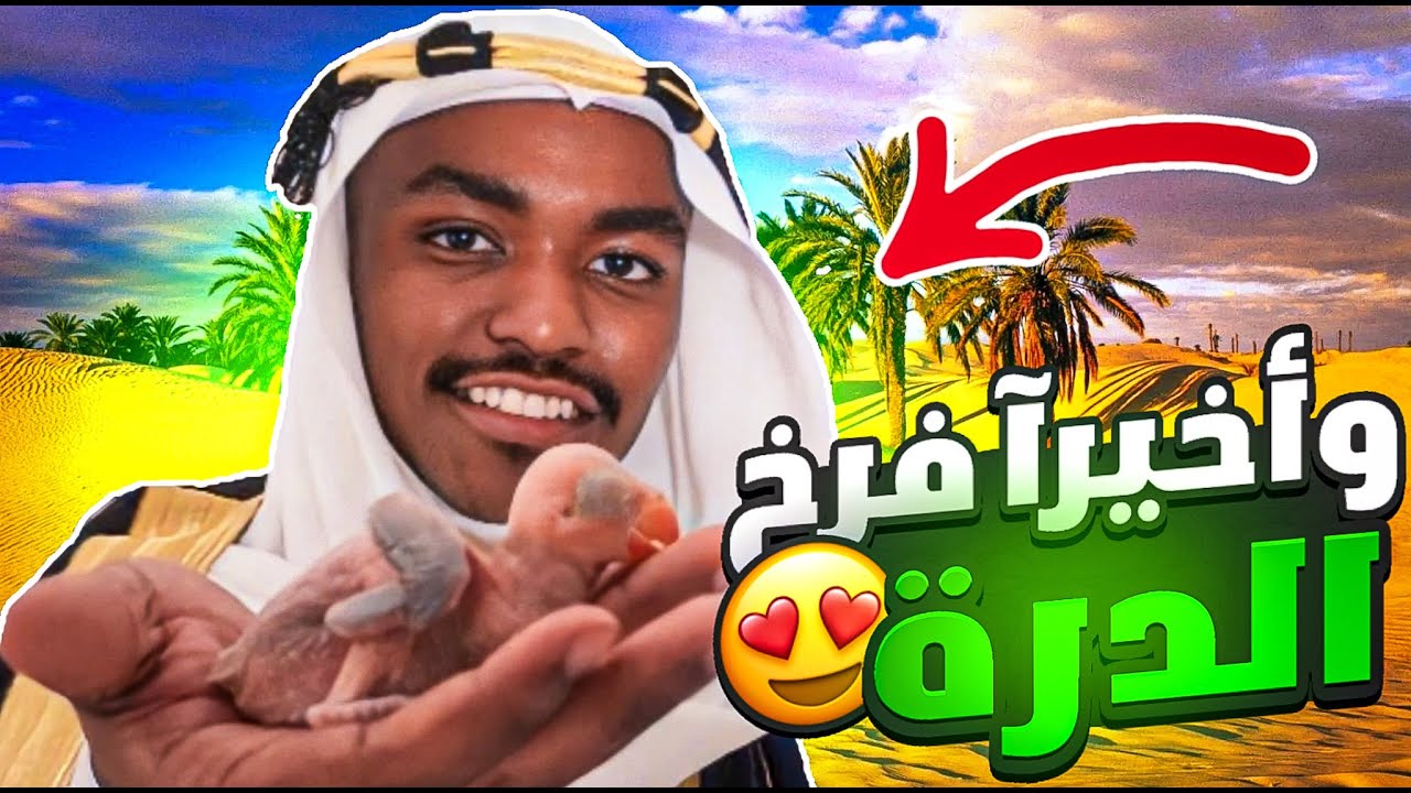 فرخ الدره الجديد في يوم ‏التأسيس.🇸🇦💚🤍