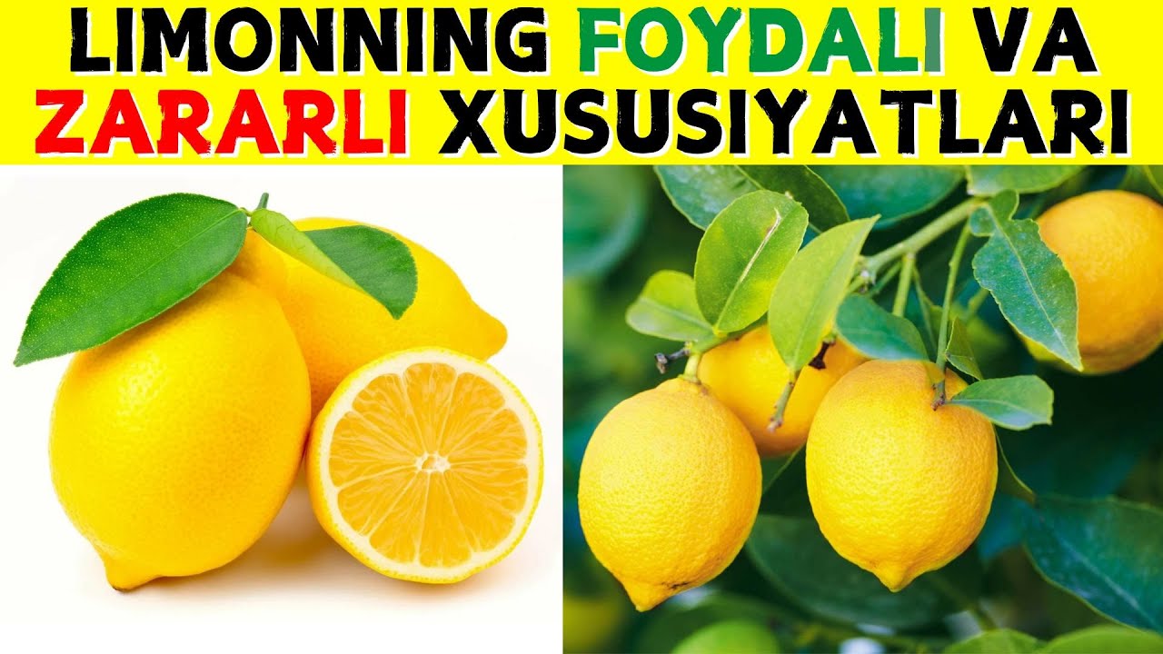 KOʻP MIQDORDA LIMON ISTEʼMOL QILISH INSON ORGANIZMIGA QANDAY TAʼSIR QILADI?