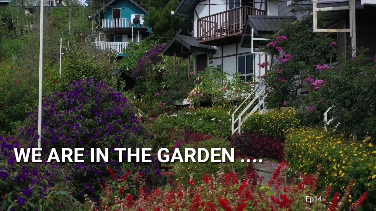 D'Bayu Garden Residence | Homestay With Beautiful Garden | Mesilou Kundasang SABAH
