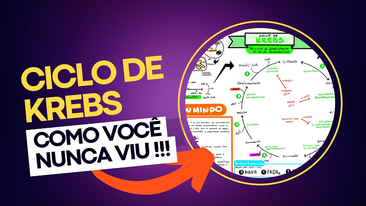 Ciclo de Krebs: O Guia Definitivo com Mapa Mental!