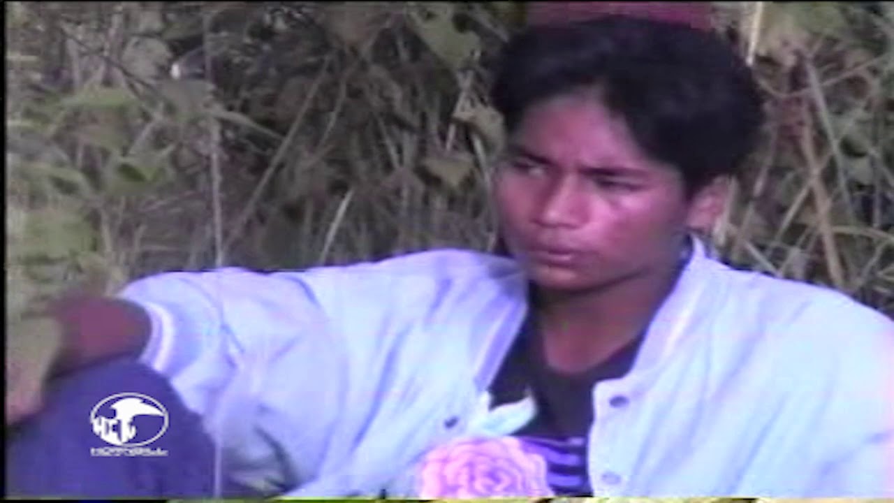 Ng Saron pak hoi L. T. Khuma, 90's Hornbill Classics