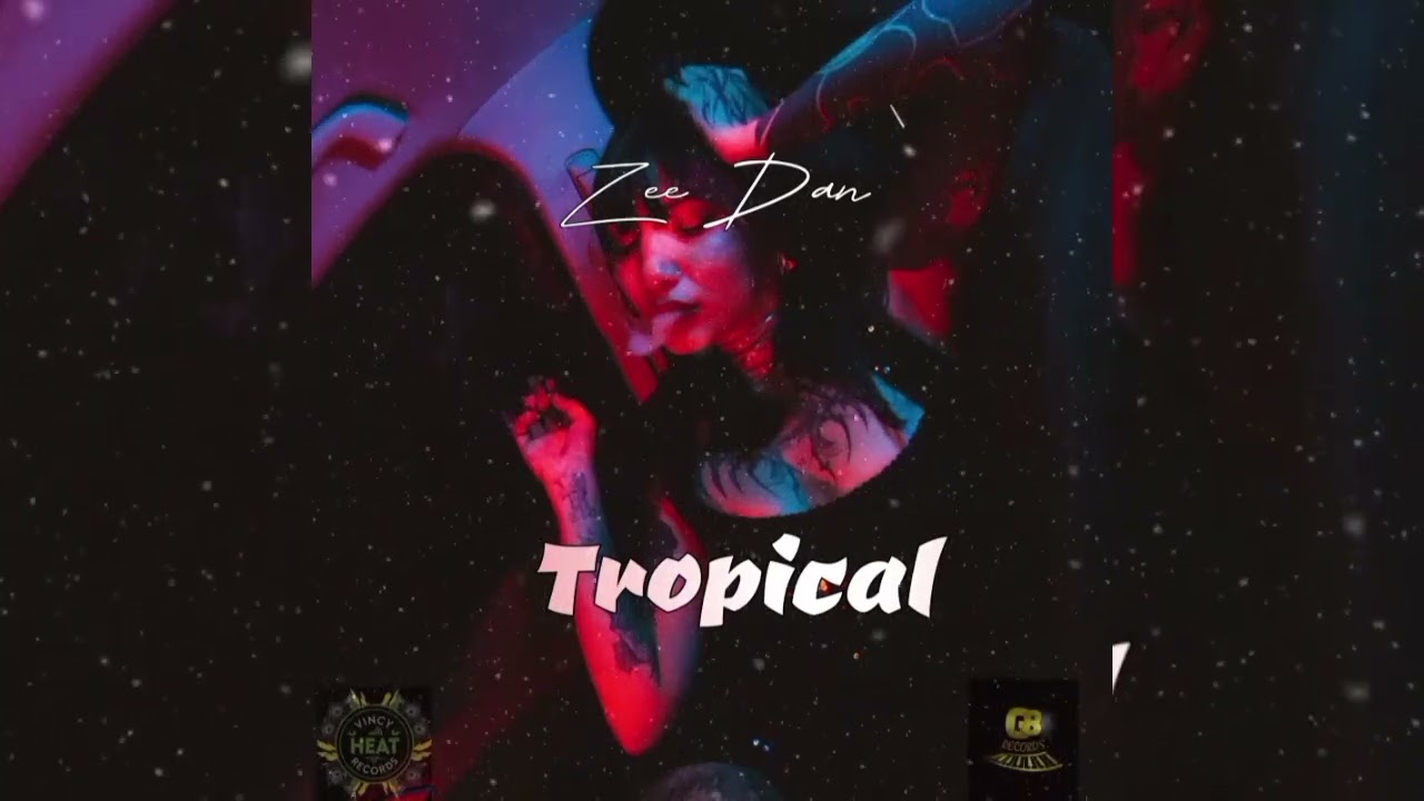 Zee dan, DJ MAC - Tropical ( Official Audio ) ~ WYFL Riddim 