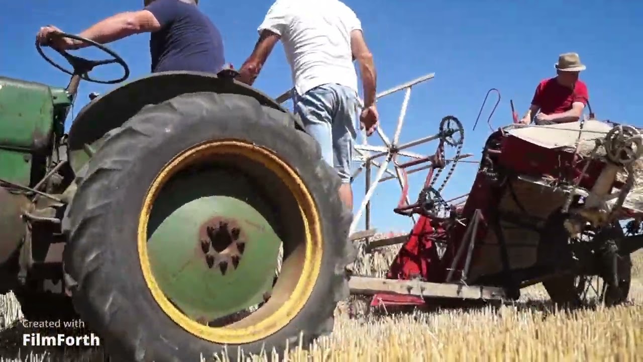 Moissons à l'ancienne - Moissonneuse/lieuse Mc Cormick + Mc Cormick International B275