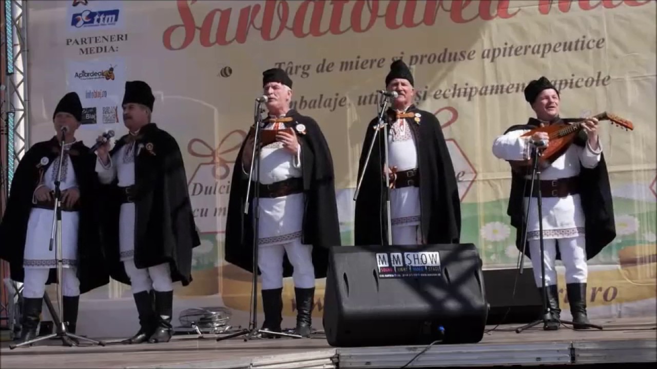 HAIDUCII din COSTEȘTI
