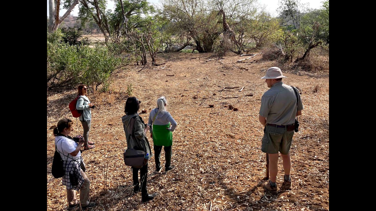 BALULE GAME RESERVE, Morning Game Walk. 10.9.2025