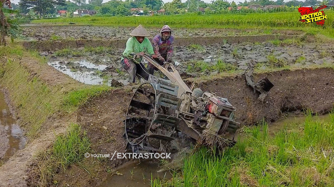 Nunggu Air Cukup! Traktor Sawah Lanjut Garap Lahan Berikutnya