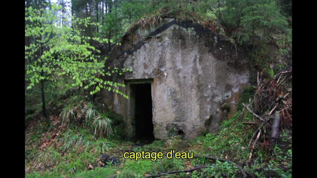 Vestiges 1914-1918 - Forêt du Donon: sentier des fortins (2010)