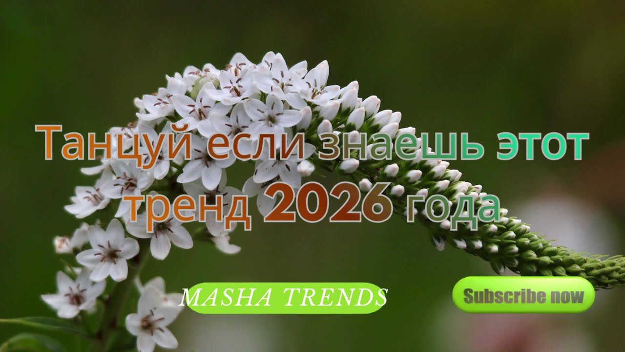 Танцуй если знаешь этот тренд 2026 года | TikTok-мэшап 🤎