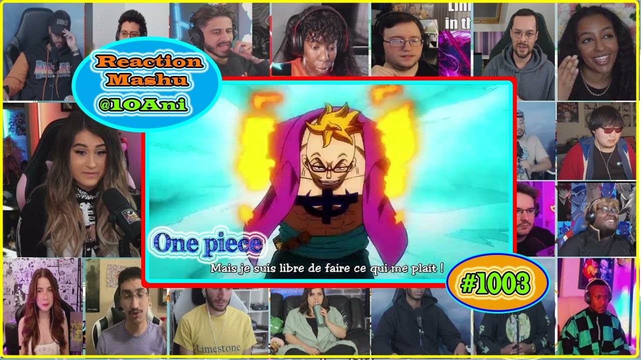 One piece Marco Vs Big mom Episode 1003 Full Reaction | 10Ani English sub