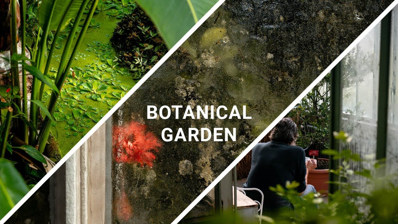 What pictures can we get to the botanical garden