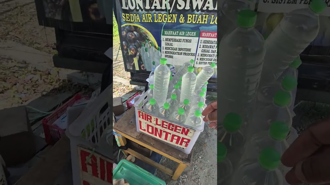 HARGA BUAH SIWALAN DI KALIMANTAN