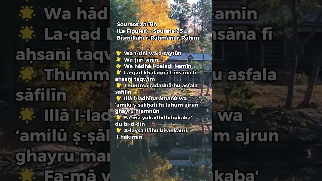 Sourate At Tīn Le Figuier &ndash; Sourate 95