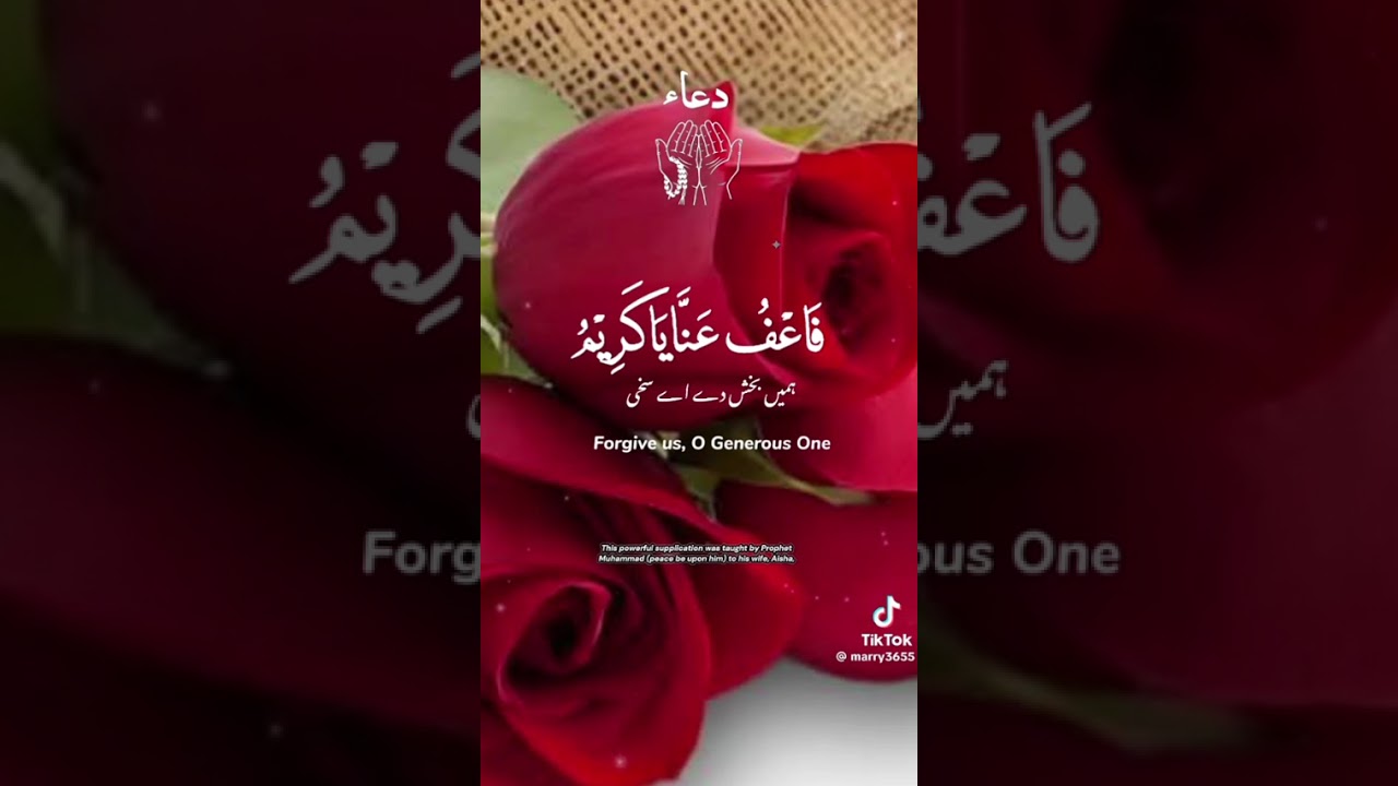 11 March 2026
