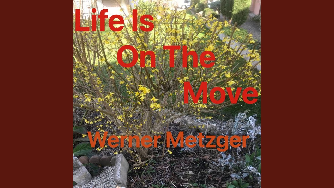 Life Is On The Move