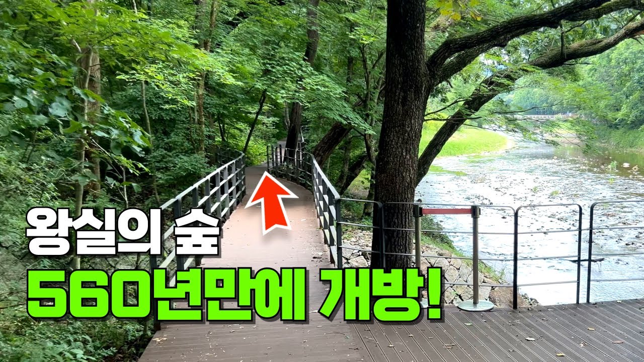 🚊지하철로 40분! 세계가 인정한  명품 숲길 트레킹! | 대중교통 당일치기 여행 | 트레킹 코스 추천