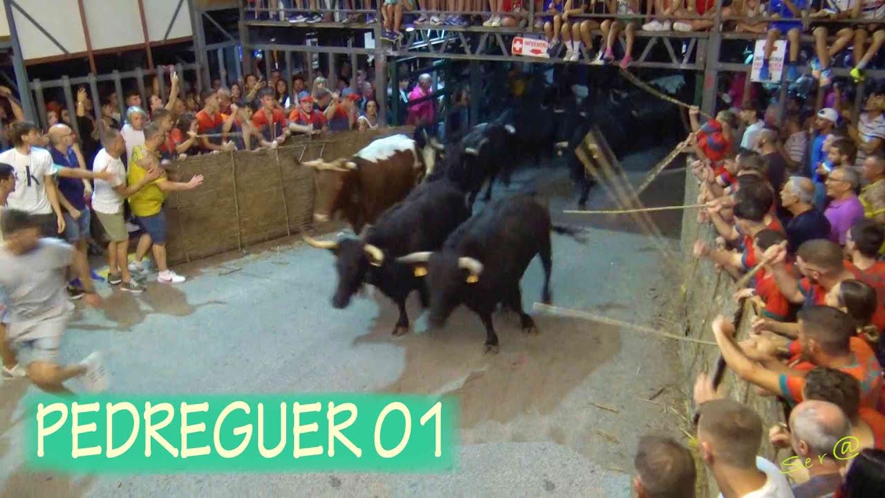 ✅2023 PEDREGUER 01 Encierro Nocturno
