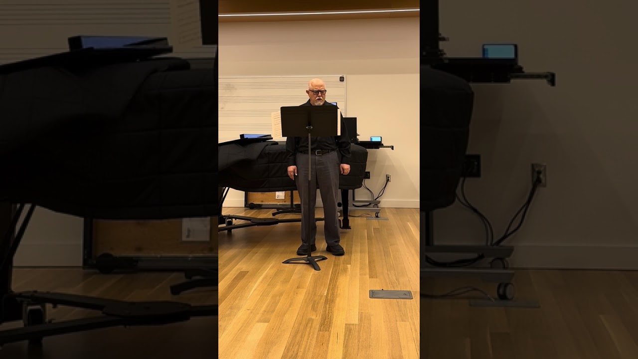 Standchen by Schubert practice in Bm