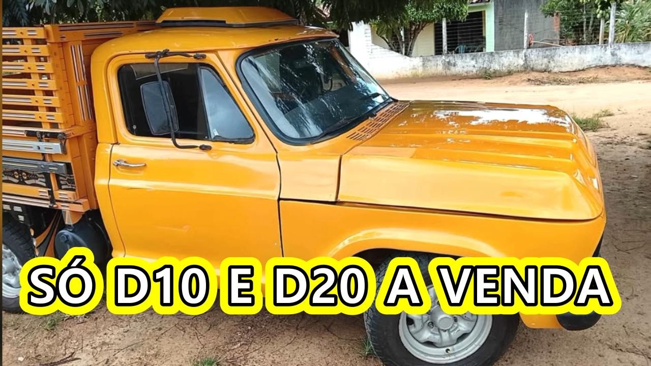 16 CHEVROLET D20 E D10 DO NORDESTE PARA VENDER EM OUTUBRO 2025 VEJA DETALHES NO V&Iacute;DEO