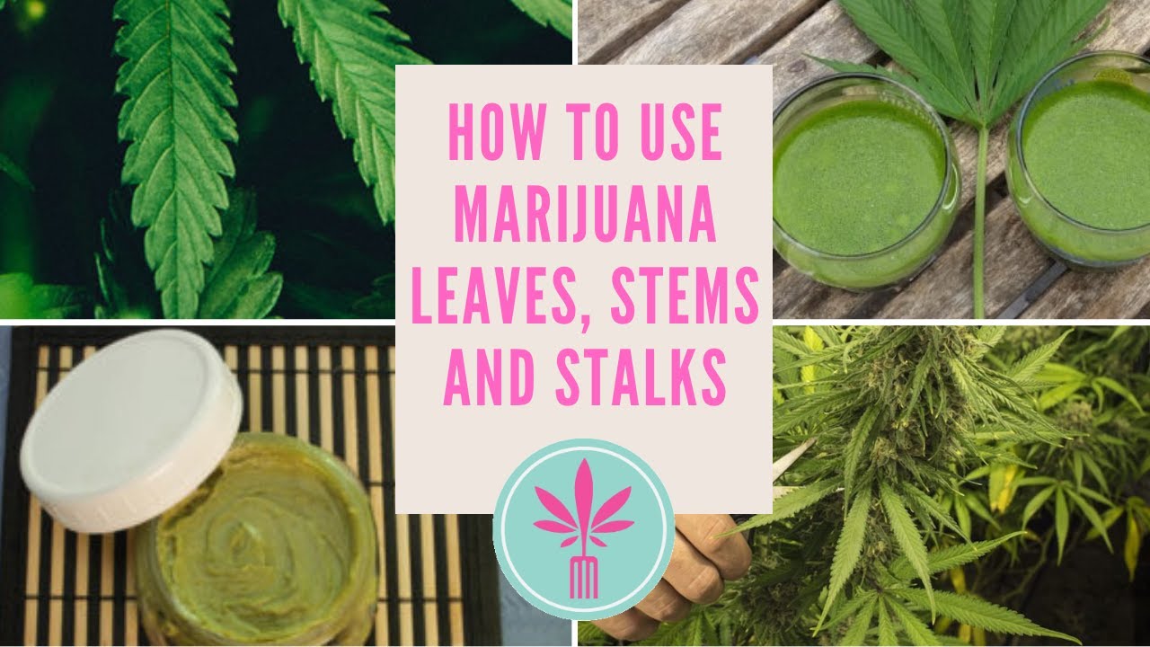 What to Do With Marijuana Crop Leftovers After Harvesting
